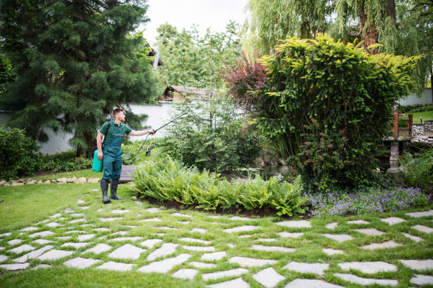Best Pest Removal Services  in Southmont, PA