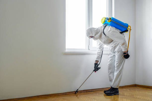 Best Commercial Pest Control Services  in Southmont, PA