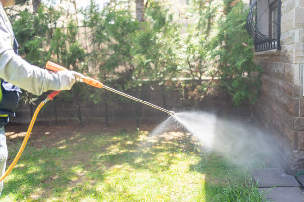 Best Wasp Removal Services  in Southmont, PA
