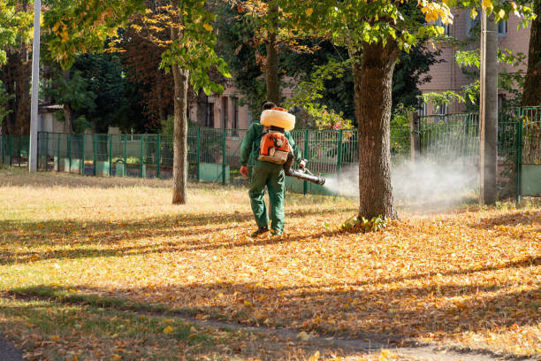 Best Flea Control Services  in Southmont, PA