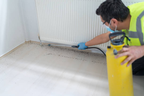 Best Exterminator Services  in Southmont, PA