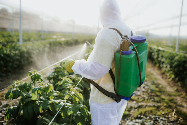 Flea Control Services in Southmont, PA